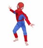 Homem  Aranha